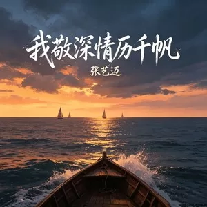 我敬深情历千帆(DJ小桐)