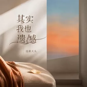 其实我也遗憾