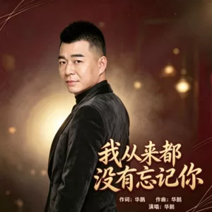 我从来都没有忘记你原唱