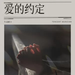 半生风雪半生你