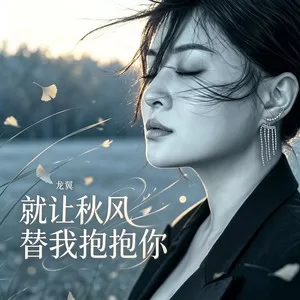 就让秋风替我抱抱你-DJ炫烁版