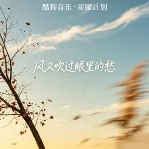 风又吹过眼里的愁