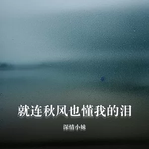 就连秋风也懂我的泪（伤心版）