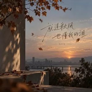 就连秋风也懂我的泪