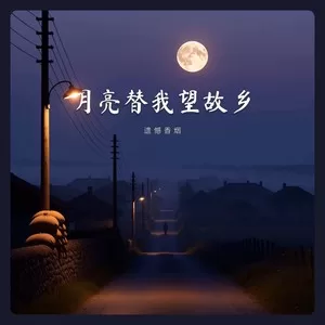 月亮替我望故乡（深情版）