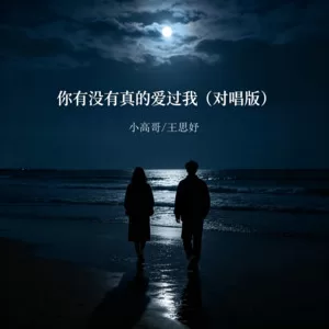 你有没有真的爱过我(对唱版)