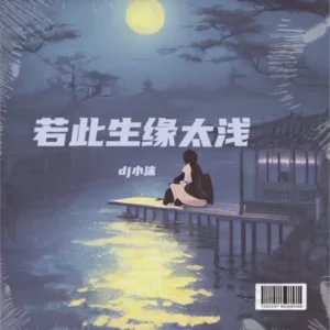 若此生缘太浅（DJ版）