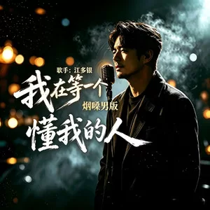 我在等一个懂我的人(烟嗓男版)