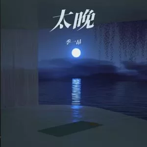 太晚（DJAh版)