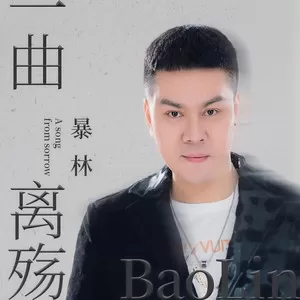 一曲离殇(DJ沈念版)