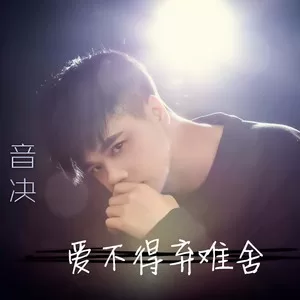 爱不得弃难舍(DJ智旭版)