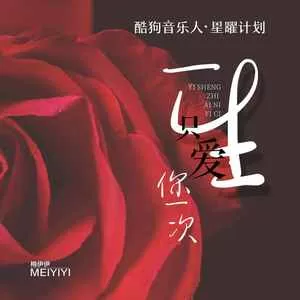 一生只爱你一次