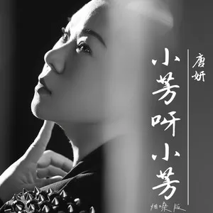 小芳呀小芳(烟嗓版)