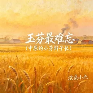 玉芬最难忘 (中原的小芳辫子长)