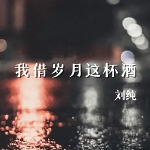 我借岁月这杯酒（DJ先森版）