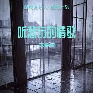 听悲伤的情歌(DJ版)