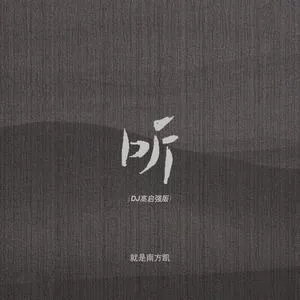 听（DJ强哥版）