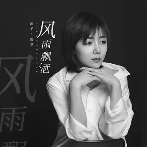 风雨飘洒(Live合唱版)