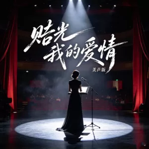 赔光我的爱情(美声版)