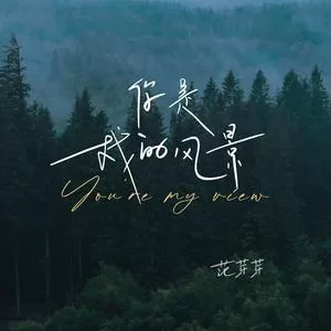 你是我的风景