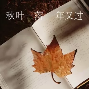 秋叶一落 一年又过