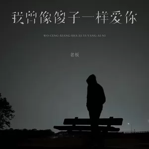 我曾像傻子一样爱你