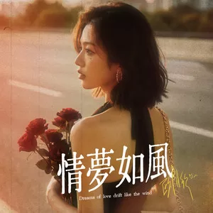 情梦如风