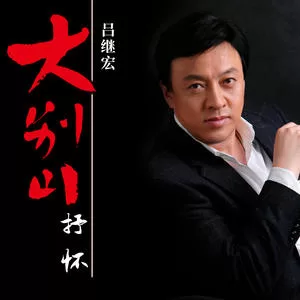再见了，大别山