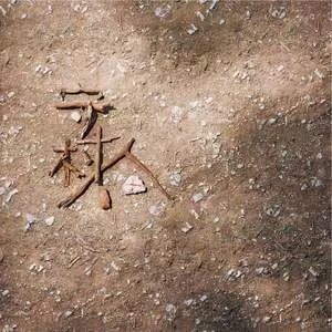 租购