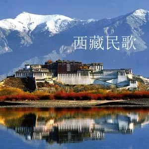 逛新城