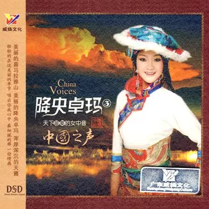 远飞的大雁