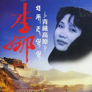 你家在哪里