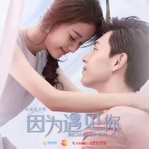 因为遇见你