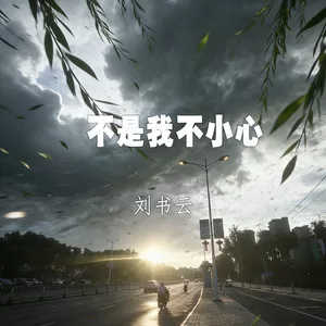不是我不小心(心碎版)