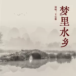 梦里水乡(伦巴版)