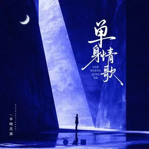 单身情歌（DJ豪大大版）