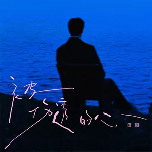 被伤透的心（DJ豪大大版）