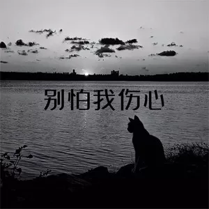 别怕我伤心（孟令辉版）