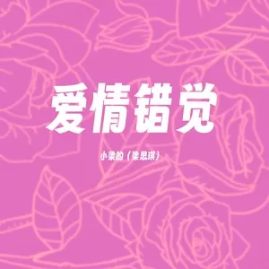 爱情错觉（DJ洒脱版）