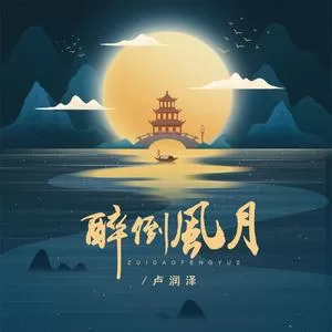 醉倒风月(Dj沈念版）