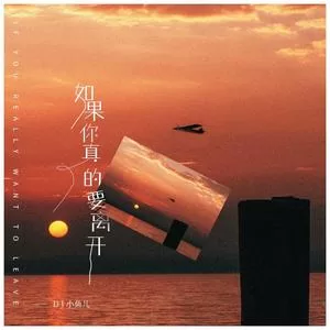 如果你真的要离开DJ加快版