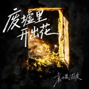 废墟里开出花