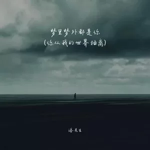 梦里梦外都是你 (你从我的世界抽离)