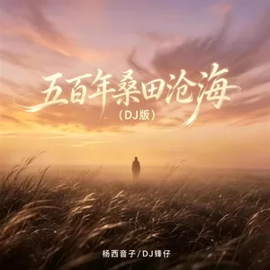 五百年桑田沧海(DJ版)