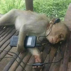 拼好歌（2025上半年热梗总结）