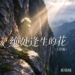 绝处逢生的花(上岸版)