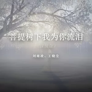 菩提树下我为你流泪（深情版）