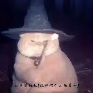 三角篓行动(你奶奶个三角篓子)