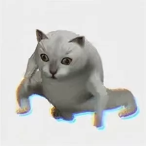 oiiai猫