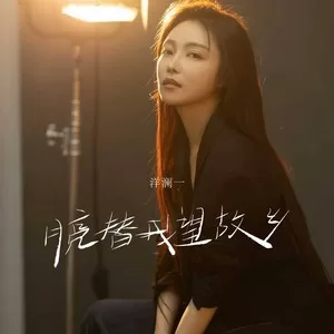 月亮替我望故乡